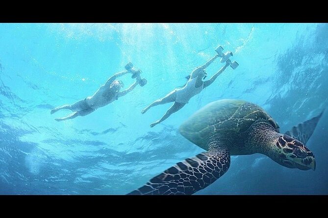 Snorkeling with Sea Scooters and Sea Adventure - Offshore - How Long the Experience Really Takes