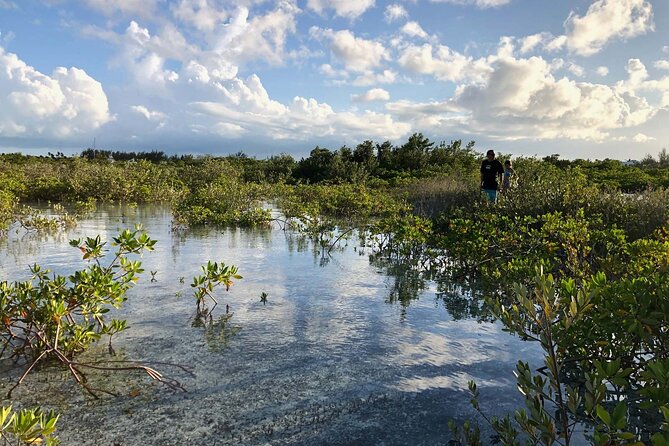 Snuba Adventure at Emerald Reef - Weather, timing, and cancellation details