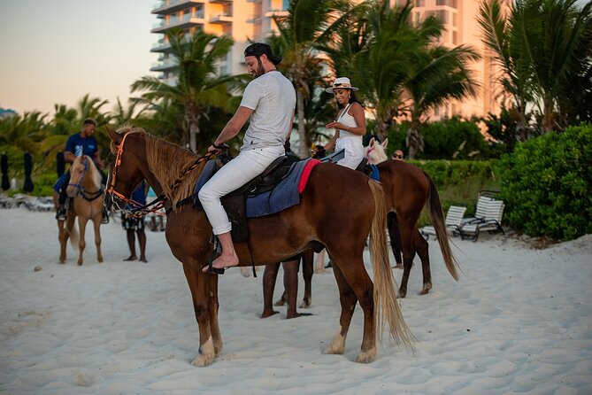 Spectacular Private Beach & Ocean Ride in Providenciales - Mounting the horse and learning the basics