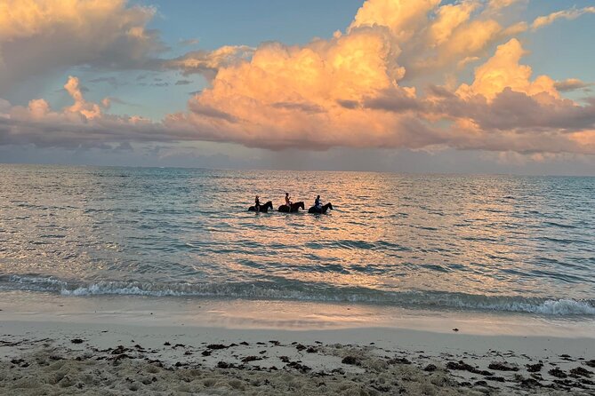 Sunset Horse Ride Experience - The complimentary photoshoot