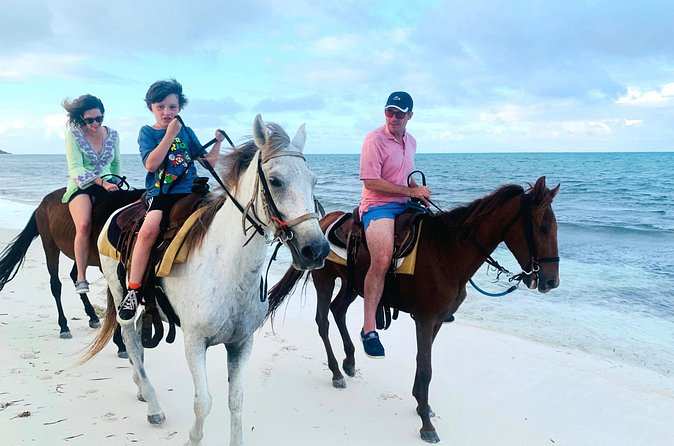 Sunset Horse Ride Experience - Horse care: an important point to consider