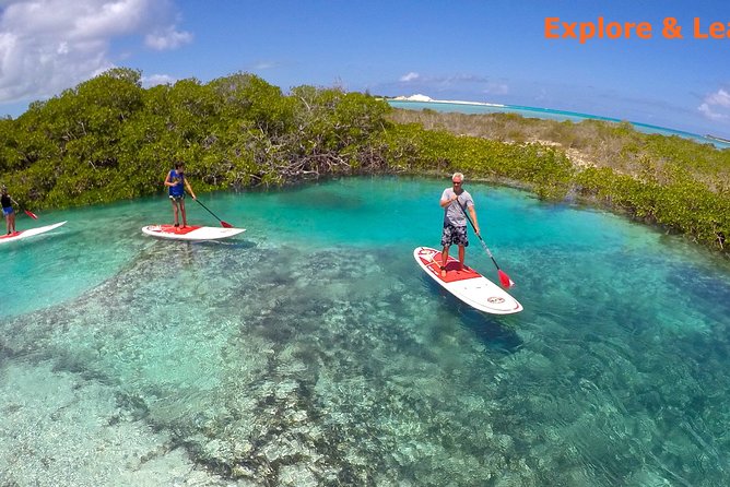 Turtle Eco Tour on Stand-Up Paddleboards or Kayaks into the National Marine Park - Choosing Between the 12-Foot SUP and Kayak
