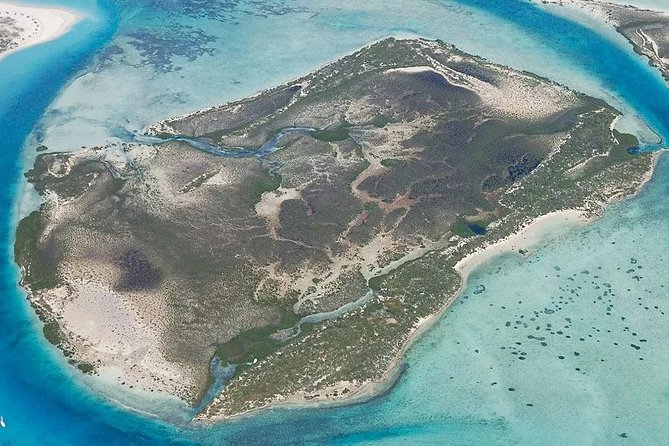Turtle Eco Tour on Stand-Up Paddleboards or Kayaks into the National Marine Park - Who Should Book This Mangrove Tour?