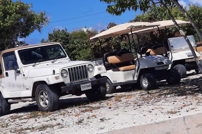 Watkins UTV American Golf Cart Rentals - What the day can look like
