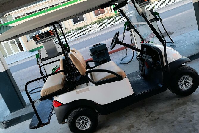 Watkins UTV American Golf Cart Rentals - Who should book this rental